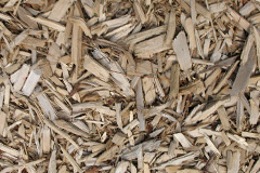 biomass boilers Cymau