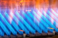 Cymau gas fired boilers